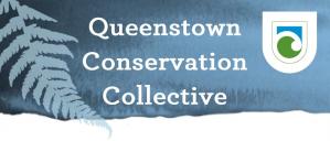 Queenstown Conservation Collective graphic