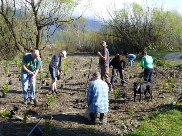 TREE PLANTING TIME OF YEAR AGAIN photo